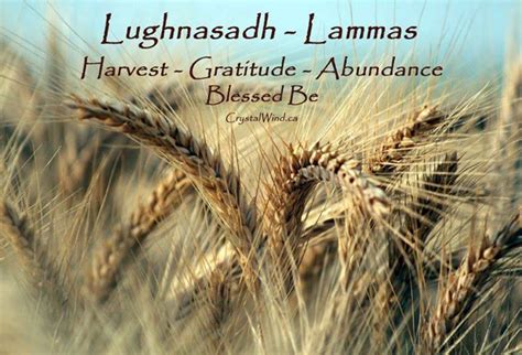 The Transformational Energy of Lughnasadh: Manifesting Goals and Dreams